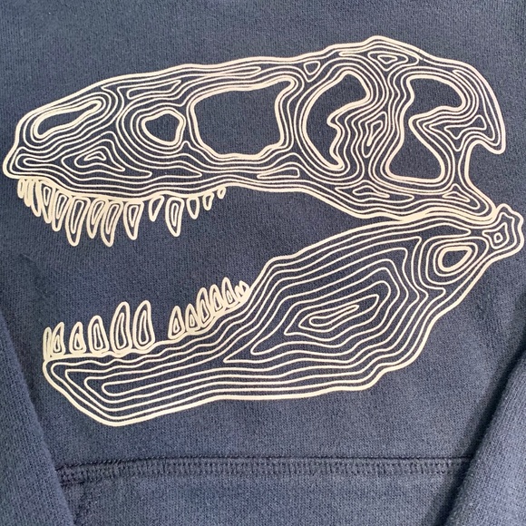 jumping beans Other - Toddler Glow-In-The-Dark T-Rex Skull Sweatshirt